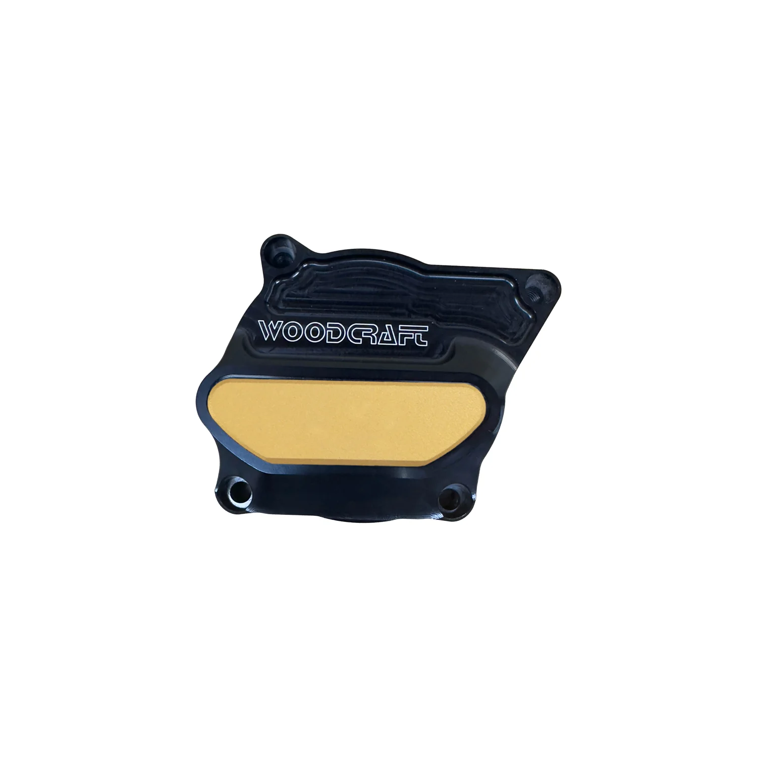 60-0232RC Suzuki GSX-8 S/R RH Water Pump Cover Protector, W/Skid Plate - Image 4